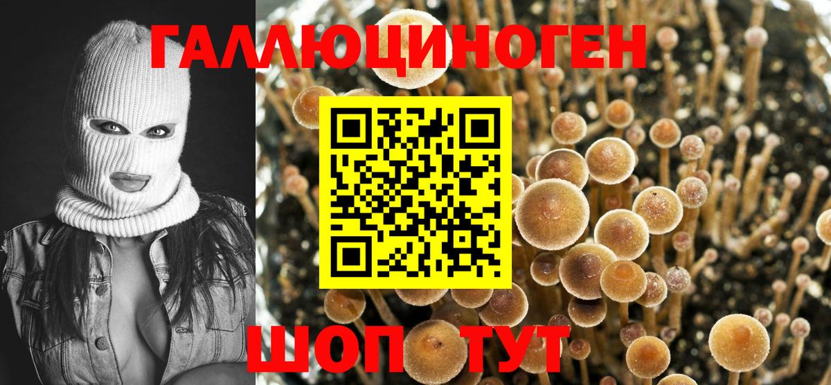 Псилоцибиновые грибы Magic Shrooms  Вход с VPN  Заводоуковск  Псилоцибиновые грибы мухоморы 